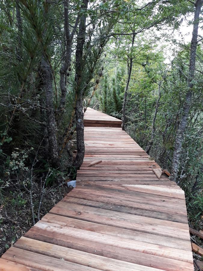 Parque Amavida Villa Малалкауельо Екстериор снимка