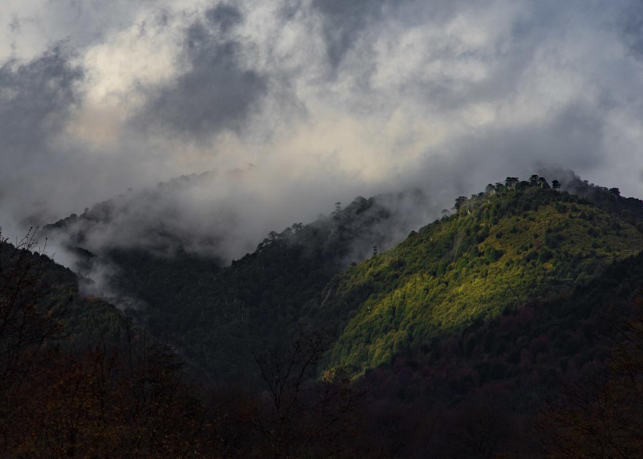 Parque Amavida Villa Малалкауельо Екстериор снимка